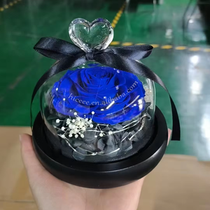 Cadeaux les plus populaires <span class=keywords><strong>Rose</strong></span> éternelle <span class=keywords><strong>La</strong></span> <span class=keywords><strong>Belle</strong></span> <span class=keywords><strong>et</strong></span> <span class=keywords><strong>la</strong></span> Bête préserver fleur en coeur dôme de verre - Product Image 6