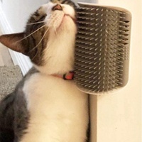 Dispositif de toilettage pour animaux de compagnie en plastique personnalisable épurateur de poils d'angle et brosse de massage pour chats chiens outil de nettoyage pour amis à fourrure