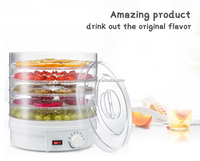 Déshydrateur Alimentaire Mini pour Maison, Économie d'Énergie, 350W, Contrôle de Température, 5 Plateaux, pour Viande, Bœuf, Fruits et Légumes