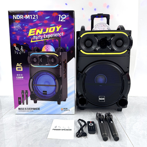 NDR-M121 Haut-parleur stéréo sans fil de 12 pouces pour extérieur avec micros, haut-parleur portable pour fête DJ avec chariot en bois - Product Image 1