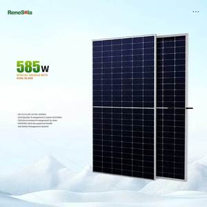 Panel Solar Rene de 585W TOPCON con Doble Cristal de Alta Eficiencia y 15 Años de Garantía - Product Image 1