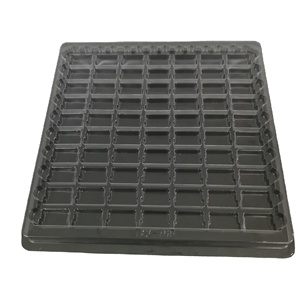 Tray Packaging Present Model Food Grade Material Plastic Tray Chocolate PET Transparent Blister Inner Food Packaging Tray
