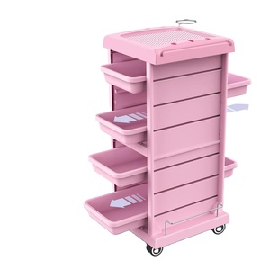 Chariot de Salon Rose du Fabricant pour Soins de Beauté, Extensions Capillaires, Fournitures de Salon de Coiffure, Utilisation en Hôpital et en Atelier - Product Image 1