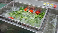 WASC-10 Commerciële Restaurant Multifunctionele Groente- en Fruitreiniger met Ultrasone Ozoncombinatie, Groene Kool