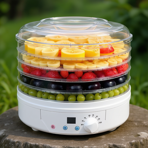 Déshydrateur alimentaire blanc 260W à 5 plateaux pour fruits et légumes - Product Image 3