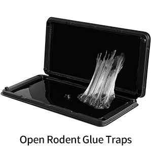 BLACK- 2pcs as 1 set in a color box