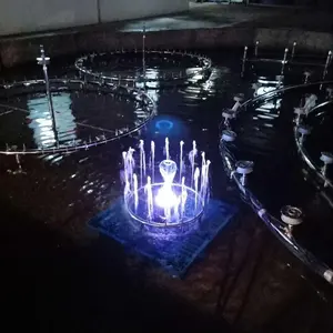 Fuente de agua pequeña para bailar con música al aire libre, con forma de agua bonita y brillante