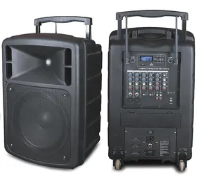 VA-9100LG VANTprofessional system Portable Speakers System With FM Radio dj sound system outdoor powered speaker stage