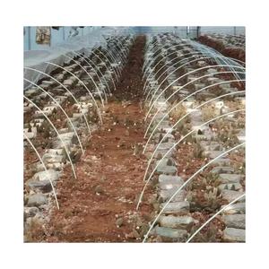 Tige <span class=keywords><strong>en</strong></span> fibre de verre Super March Haoli pour diamètre de bâton de plante de jardin avec 4mm-20mm pour l'agriculture - Product Image 5