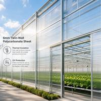 Plaques de polycarbonate alvéolaire transparentes 4mm 6mm pour terrasse, pergola, auvent, couverture de toit, panneaux de protection