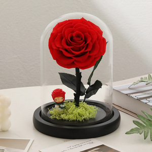 Rosa Eterna en Caja de Regalo con Temática del Principito, para San Valentín, Día del Maestro, Navidad, Cumpleaños, Confesiones, Propuesta de Matrimonio - Product Image 6