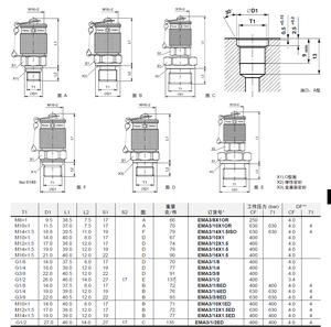 Puntos de Prueba <span class=keywords><strong>Parker</strong></span> EMA3, <span class=keywords><strong>Adaptadores</strong></span> Métricos Hidráulicos BSPP, Conectados a Manómetro para Pruebas de Sistemas Hidráulicos - Product Image 6