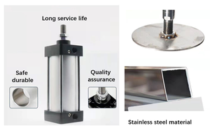 เครื่องกดเต้าหู้แห้ง/Coumadin เครื่องกดแห้ง/เครื่องอัด<span class=keywords><strong>เต้าหู้</strong></span>แบบนิวเมติก - Product Image 3