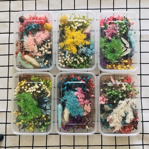 Preserved Eterna Epoxy Resin Pendant Necklace Craft Diy Floral 1 Box Natural <strong>Dried</strong> Flower Dry <strong>Plant</strong> for Aromatherapy Candle - Product Image 2