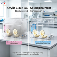 SAMYCS GS-008-A Boîte à gants sous vide de laboratoire compatible avec les gaz inertes, en acrylique de 10 mm d'épaisseur, 2 ports pour gants, 2 gants offerts, personnalisable OEM