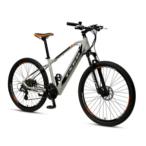 TXED 36 В Электрический велосипед скрытый аккумулятор электрический велосипед горный велосипед - Product Image 1