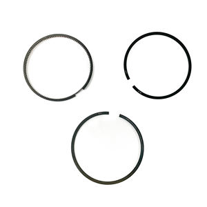 Kit de segments de piston adapté à VOLKSWAGEN 800001011000 - Product Image 1