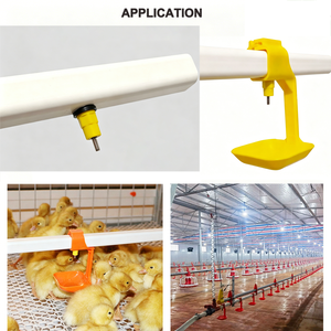 <span class=keywords><strong>Bebedero</strong></span> automático de niple para pollos al por mayor, tipo válvula de bola, para aves de corral, gallinas y <span class=keywords><strong>patos</strong></span> - Product Image 5