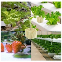 Xiamen – Cubes de culture hydroponique personnalisés en laine de roche de haute qualité, pour plantation