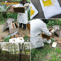 Boîte d'accouplement pour l'apiculture nuc Box Polystyrène Bee Hive