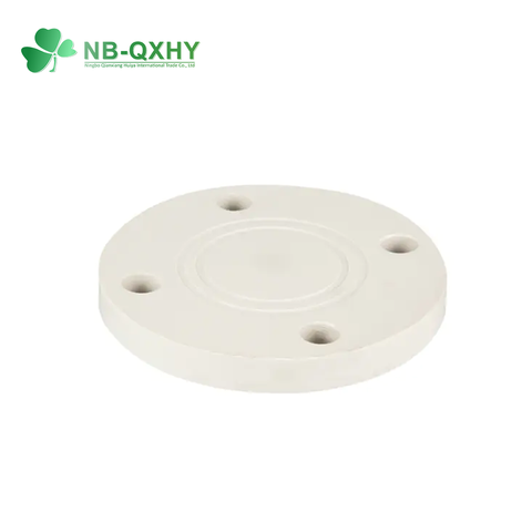 Chemical Industry Pipe Fittings DN15 to DN300 Industrial Plastic PVDF FRPP PPH PVC Blind Flange