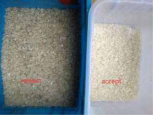 工厂供应盐不锈钢316L光学分选机CCD色选机盐清洗分离器高精度中国 - Product Image 6