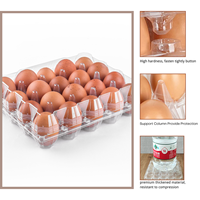 Vente en gros bon marché emballage d'oeufs jetables en PET 20 trous plateau d'oeufs transparent en plastique