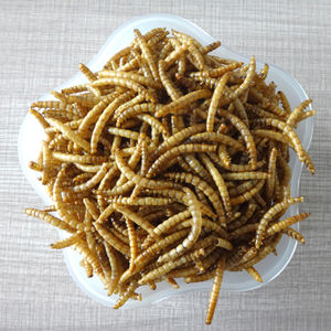 <span class=keywords><strong>Mealworm</strong></span> seca alta proteína em massa para pássaro selvagem 5 kg - Product Image 4