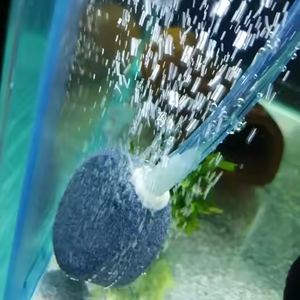 Acuario pecera Mini accesorios bomba <span class=keywords><strong>de</strong></span> aire burbuja piedra aire piedra - Product Image 5