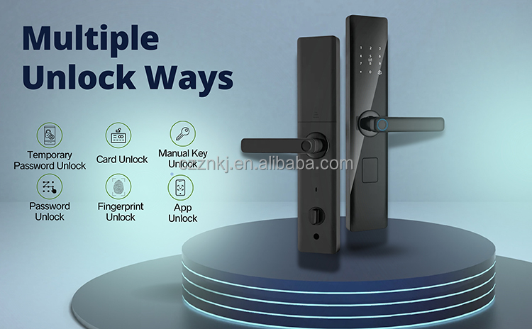 Digital Smart Door Lock WiFi High Security Gold Color Compatible Tuya App for Aluminum Memory Card Home Hotel Apartments Offices · image 7