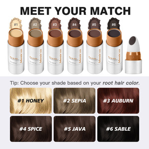 Poudre de Remplissage Instantané pour la Ligne des Cheveux, <span class=keywords><strong>Ombre</strong></span> Capillaire, Correcteur de Cheveux, Maquillage 6 Teintes, Couvre-Racines, Poudre pour Cheveux Fins - Product Image 1
