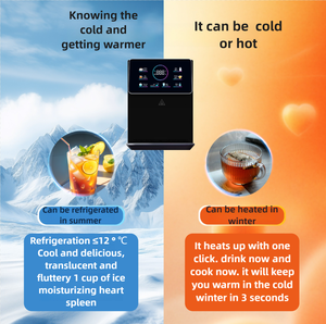 OEM Hot Water Dispenser Machine <b>Wall</b>-<b>Mounted</b> <b>Table</b> Stand Domestic Equipment Quick Heat Pipeline for Home Use Instant Dual Instal - Product Image 5