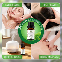 Huile Essentielle de Menthe Poivrée 100% Pure en Gros OEM ODM Naturelle Pressée à Froid pour Aromathérapie Diffuseur et Utilisation en Spa