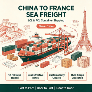 Chine vers France, Colis Aérien, Colis Maritime, Service de Transport Maritime par Camion, DDP avec Dédouanement Double - Product Image 4