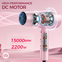 Sèche-cheveux professionnel 2200W, moteur DC haute vitesse, séchage rapide, 3 températures, 2 vitesses, fonction air froid, outil de coiffage de qualité salon