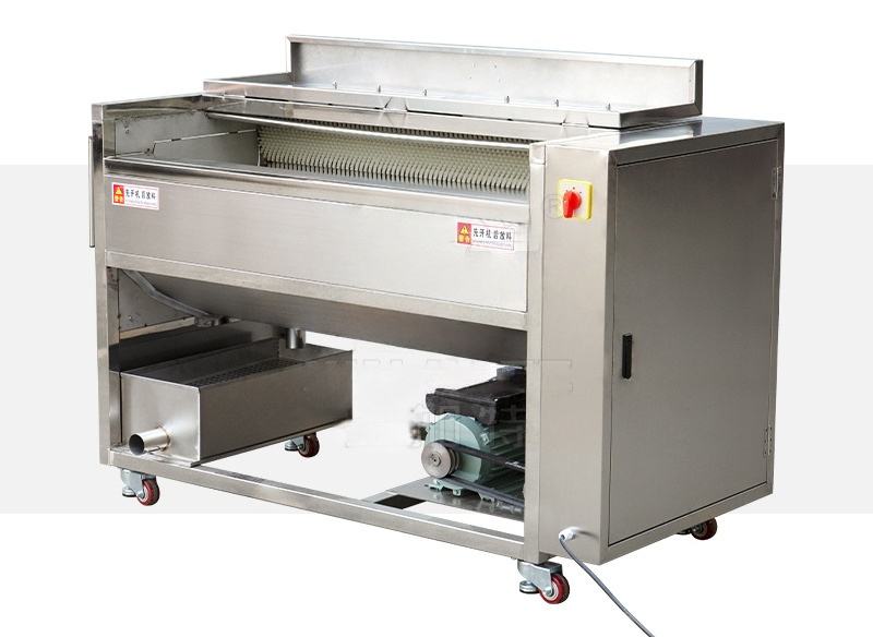 Brush Washing Machine Fruit and Vegetable Potatoes Ginger Potatoes ...