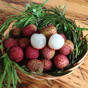 Ekspor produk pertanian leci pohon tua Lychee manis dan segar segar segar buah di musim - Product Image 1