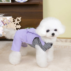 Ropa para perros, diseñador de moda, pantalones para perros de cuatro patas, novedad de primavera y verano, bolsillo tridimensional, monos para perros Good Friend - Product Image 6