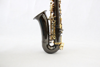 Good Quality Chinese Professional Accessories Eb Tone Alto Saxophone for Sale Suitable Price Alto Saxophone with Case