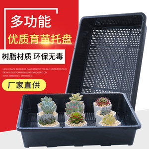 <b>Rectangular</b> Seedling Tray 20 Cells Drainage Hole Multi Purpose <b>Plant</b> <b>Pot</b> Rack For Succulent Vegetable Leaf Cutting - Product Image 5