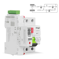 Dispositif de protection différentielle automatique à réenclenchement automatique Chayo Mini Smart RCCB 2P 230V 6KA 63A 10mA 30mA 100mA 300mA