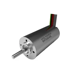 Japanese technology 30mm dia slotless bldc motor for electric vehicle with hall sensors