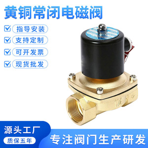 Vanne solénoïde à deux voies en cuivre 24VDC 220VAC normalement fermée pour eau et gaz, 1 pouce, 2 pouces, utilisation en protection incendie - Product Image 5