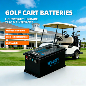 Pin xe golf LiFePO4 trạng thái rắn SEALOFF (36V/38.4V/48V/72V; 50Ah/100Ah/105Ah/150Ah/160Ah) - Tuổi thọ 4000 chu kỳ - Product Image 6