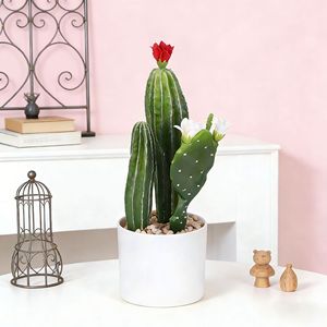 Plante de cactus artificielle en plastique, cactus pour ornement de jardin, <span class=keywords><strong>d</strong></span>écoration de jardin, <span class=keywords><strong>d</strong></span>écoration de maison et de bureau, faux arbres, plantes artificielles - Product Image 3