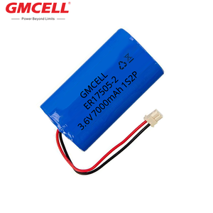 Batterie personnalisée LiSOCl2 4S1P ER14250/ER14505/ER17505/ER18505/ER17335/ER26500/ER34615 14,4V pour compteur intelligent NB-IOT GPS - Product Image 6