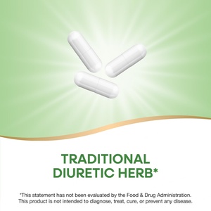 Nuevo Suplemento de Raíz de Diente de León, Apoyo para Aliviar las Disturbancias Digestivas en Adultos, 100 Cápsulas de Raíz de Diente de León - Product Image 2