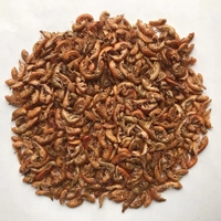 Gammarus séché Nourriture pour poissons et tortues Crevettes séchées Aliments pour animaux