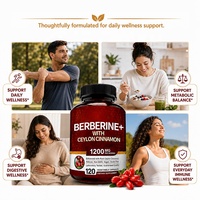 Compléments de berbérine pour la santé intestinale, complément digestif, berbérine HCL avec cannelle de Ceylan, certifié GMP, marque privée