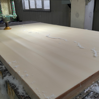 Meilleur prix fonte MC 1000*2000mm feuille de Nylon 15mm et 20mm d'épaisseur PA6 planche à découper en plastique de couleur naturelle